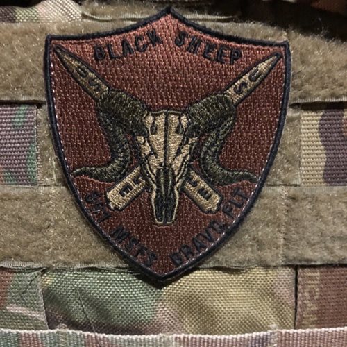 891 MSFS Bravo Flight OCP Patch - View 2