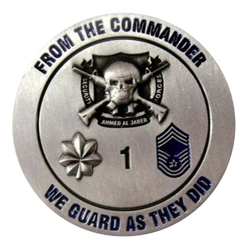 407 AEG ESFS Commander Coin