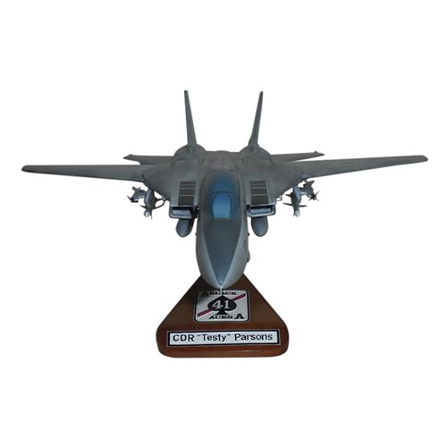 Design Your Own F-14 Tomcat Custom Airplane Model - View 4