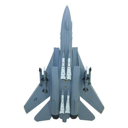 Design Your Own F-14 Tomcat Custom Airplane Model - View 9