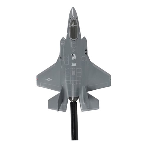 356 FS F-35A Briefing Stick - View 5
