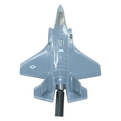 419 FW F-35A Custom Airplane Briefing Stick - View 5