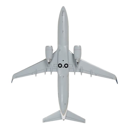 Continental Airlines Boeing 737-800 Custom Airplane Model  - View 7