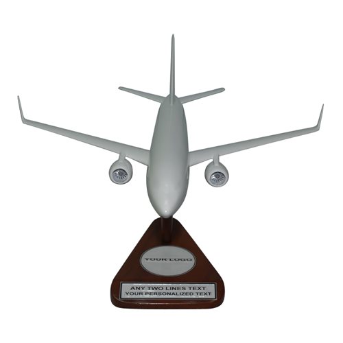 Design Your Own Continental Airlines Custom Aircraft Model - View 2