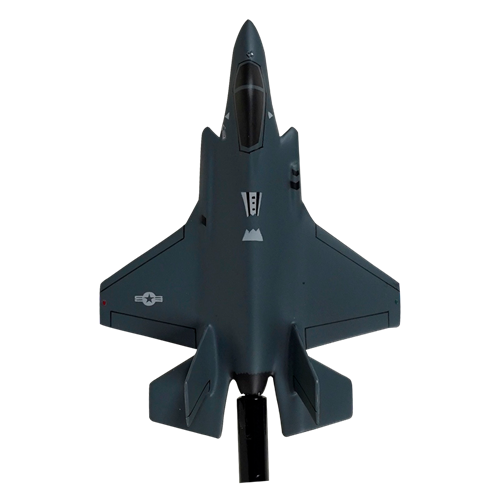 63 FS F-35A Briefing Stick - View 5