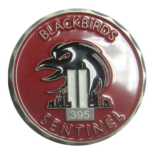 30 RS Black Birds Sentinel Challenge Coin