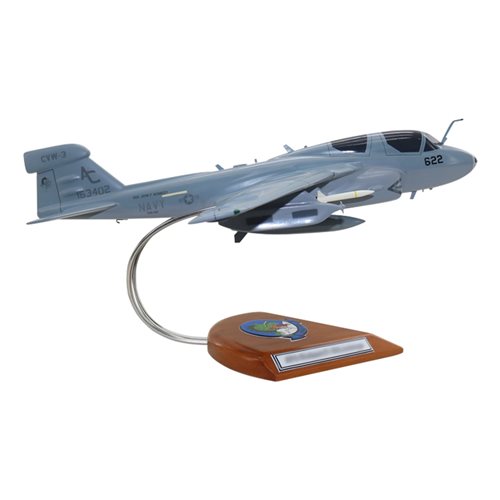 VAQ-130 EA-6B Custom Airplane Model  - View 4