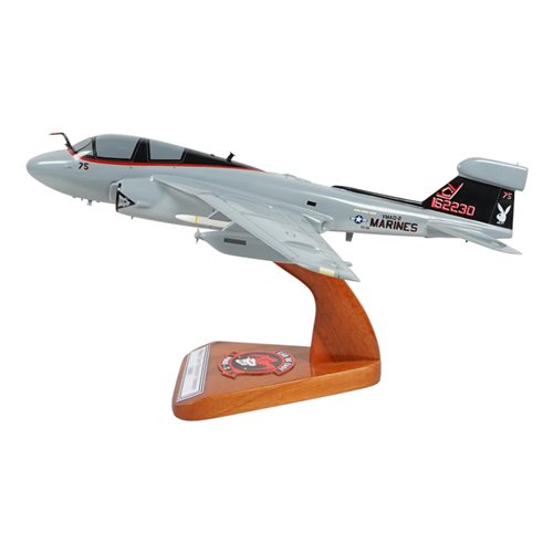 VMAQ-2 EA-6B Custom Airplane Model  - View 2