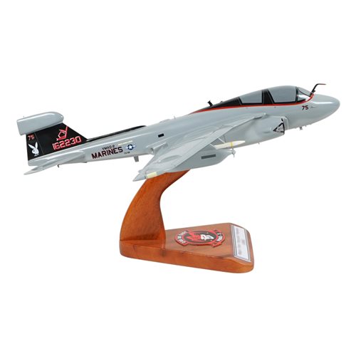 VMAQ-2 EA-6B Custom Airplane Model  - View 4