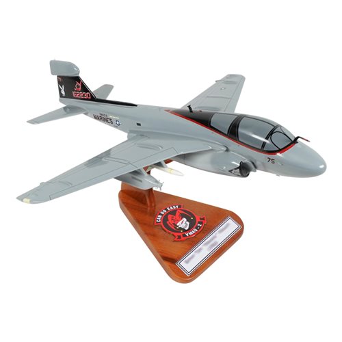 VMAQ-2 EA-6B Custom Airplane Model  - View 5