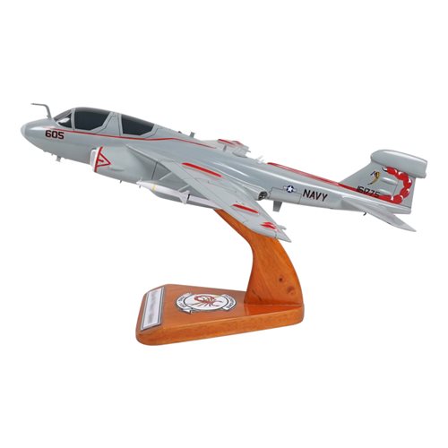 VAQ-132 EA-6B Custom Airplane Model  - View 2