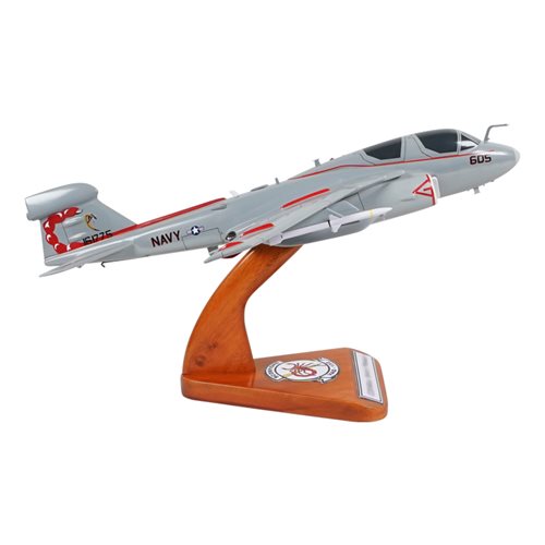 VAQ-132 EA-6B Custom Airplane Model  - View 4