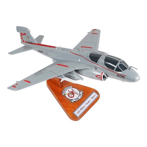 VAQ-132 EA-6B Custom Airplane Model  - View 5