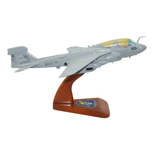 VAQ-131 EA-6B Custom Airplane Model  - View 4