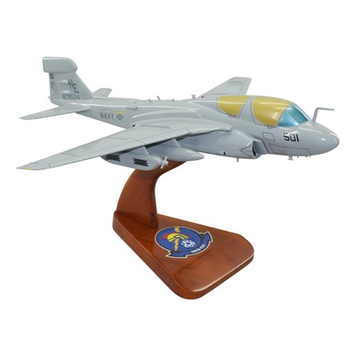 VAQ-131 EA-6B Custom Airplane Model  - View 5