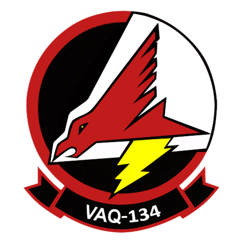 VAQ-134 EA-6B Custom Airplane Model 