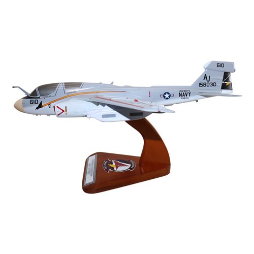 VAQ-134 EA-6B Custom Airplane Model  - View 2