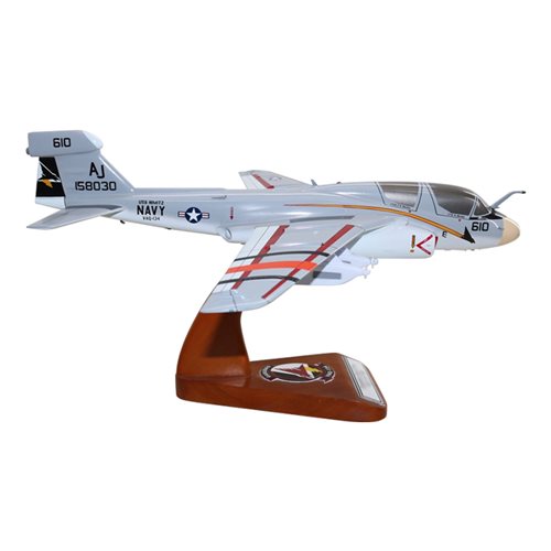 VAQ-134 EA-6B Custom Airplane Model  - View 4