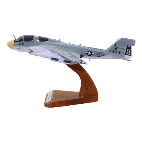 VAQ-137 EA-6B Custom Airplane Model  - View 2