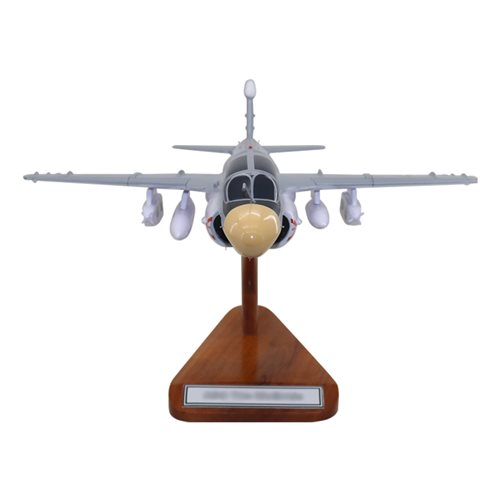 VAQ-137 EA-6B Custom Airplane Model  - View 3