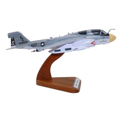 VAQ-137 EA-6B Custom Airplane Model  - View 4