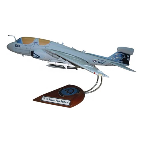 VAQ-139 EA-6B Custom Airplane Model  - View 2