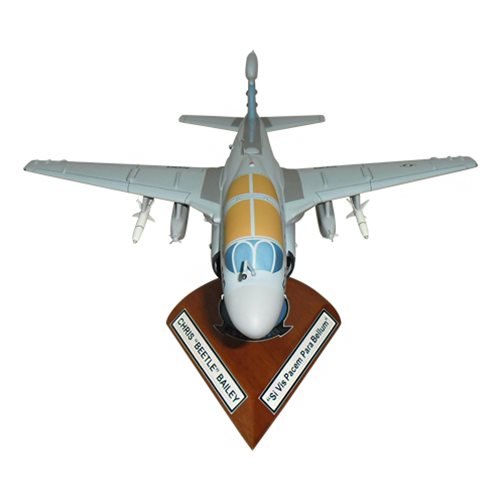 VAQ-139 EA-6B Custom Airplane Model  - View 3