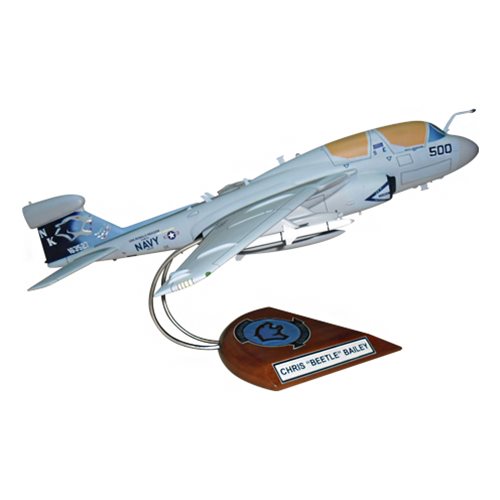 VAQ-139 EA-6B Custom Airplane Model  - View 4