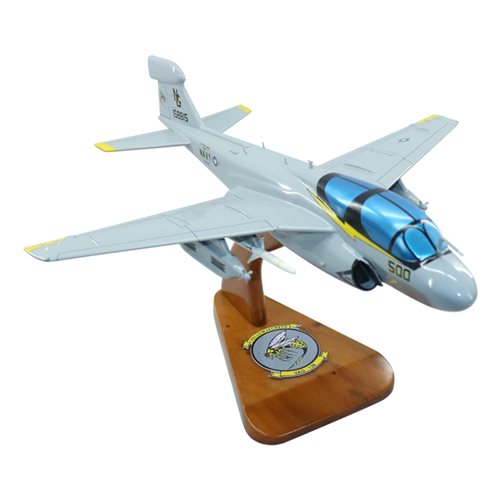 VAQ-138 EA-6B Custom Airplane Model  - View 5