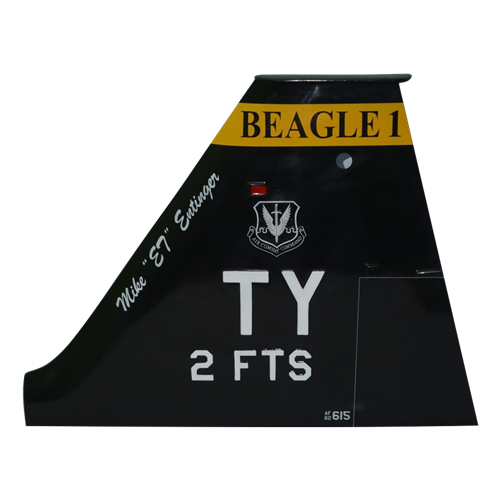 2 FTS T-38 Airplane Tail Flash