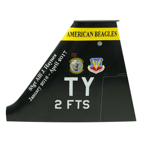 2 FTS T-38 Airplane Tail Flash - View 2