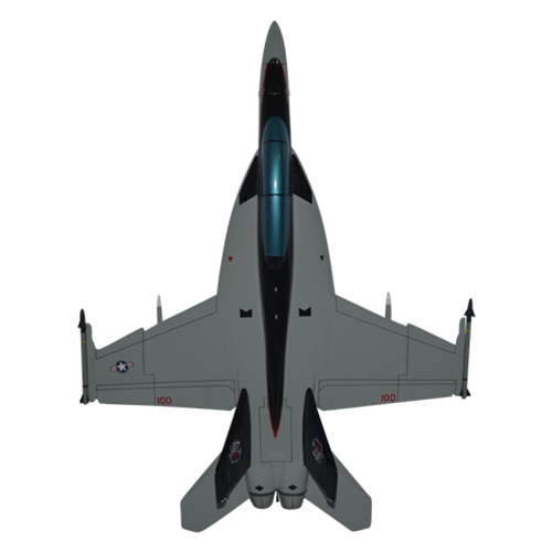 F/A-18F Super Hornet Custom Aircraft ModelModel - View 5