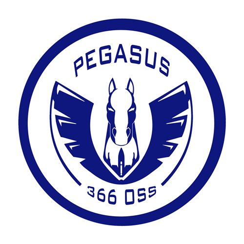 366 OSS Pegasus Patch