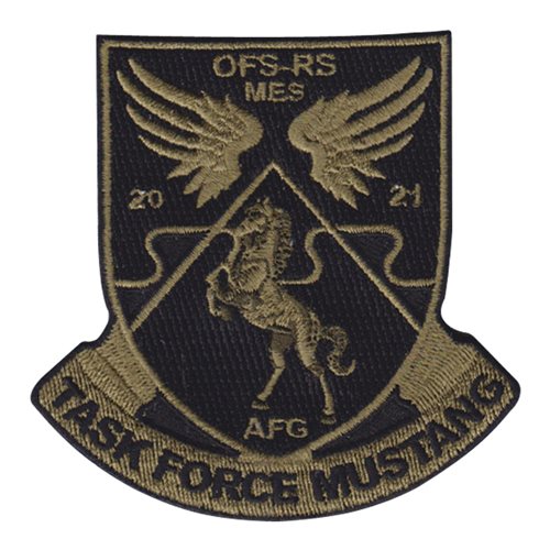 2-4 GSAB Task Force Mustang OCP Patch