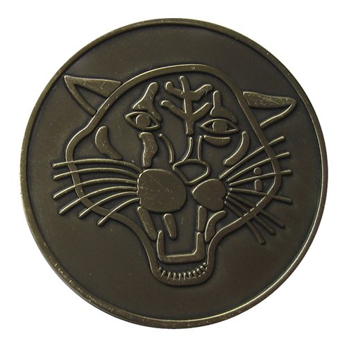 120 FS Coin Custom Air Force Challenge Coin - View 2