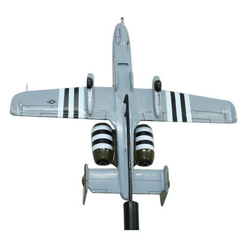 104 FS A-10 Thunderbolt II Custom Briefing Sticks - View 6