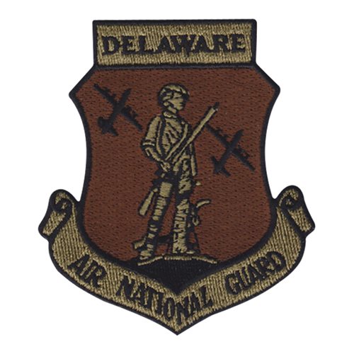 ANG C-130 Delaware OCP Patch