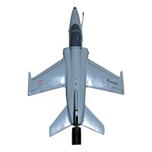 Italian Air Force AMX Custom Airplane Model Briefing Stick - View 4