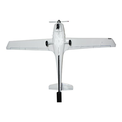 Doss Aviation Diamond DA20 Custom Airplane Model Briefing Sticks - View 5