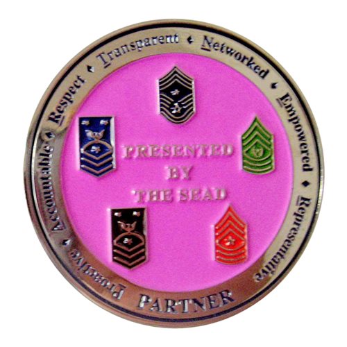 Defense Security Cooperation Agency SEAD Challenge Coin - View 2