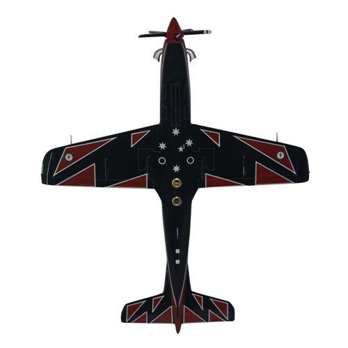RAAF Roulettes Custom Aircraft Model  - View 7