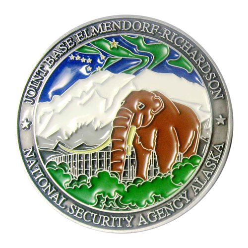 381 IS Challenge Coin - View 2