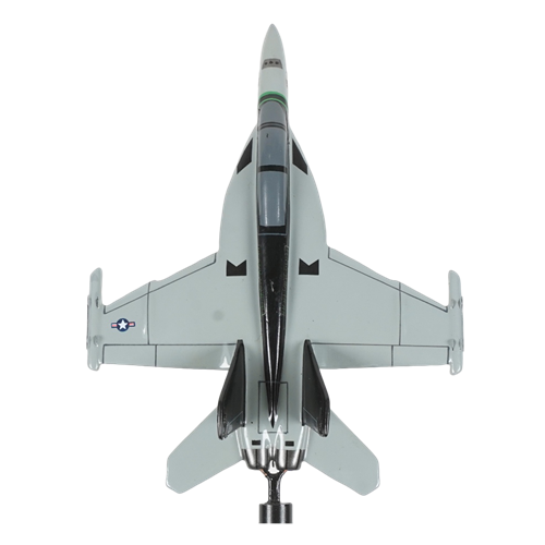 VAQ-135 E/A-18G Growler Custom Airplane Model Briefing Sticks - View 5