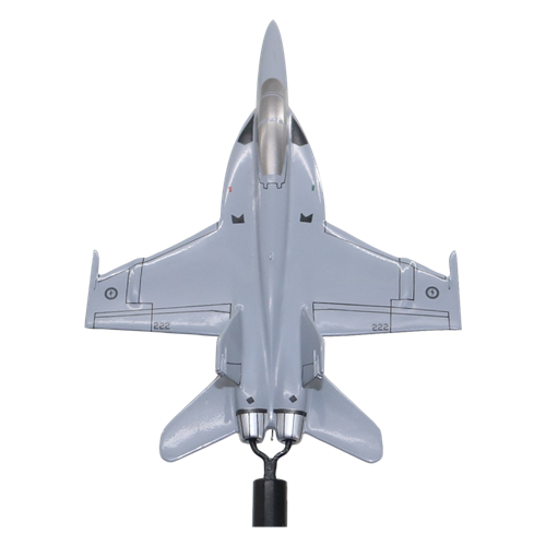 1 SQN RAAF F/A-18E/F Super Hornet Custom Airplane Briefing Sticks - View 5