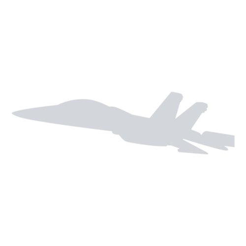 F/A-18E/F Custom Airplane Briefing Sticks