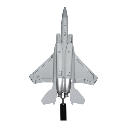 159 FS F-15C Custom Airplane Model Briefing Sticks - View 6