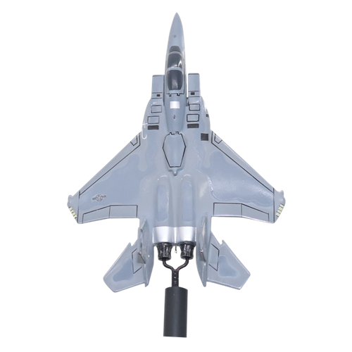 60 FS F-15C Custom Airplane Model Briefing Sticks - View 5