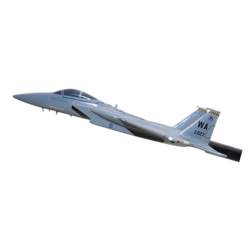 433 WPS F-15C Custom Airplane Model Briefing Sticks - View 2