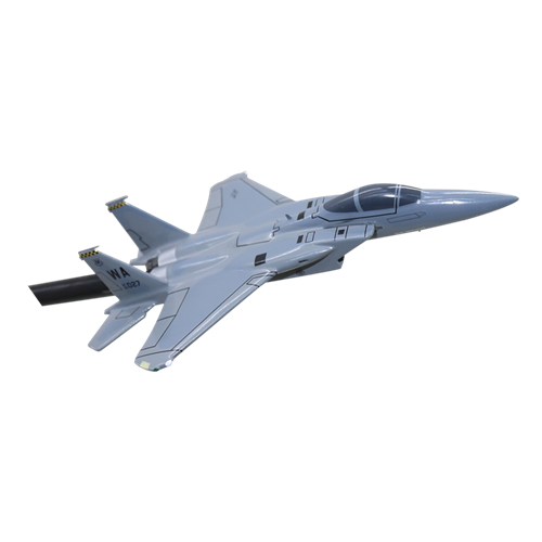 433 WPS F-15C Custom Airplane Model Briefing Sticks - View 4