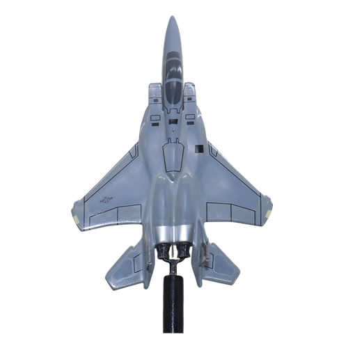 433 WPS F-15C Custom Airplane Model Briefing Sticks - View 5